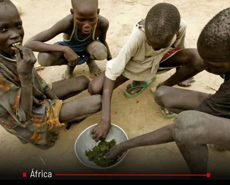 segurança alimentar